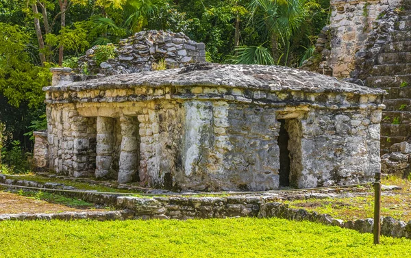 Antico Sito Maya Con Rovine Del Tempio Piramidi Manufatti Nella — Foto Stock