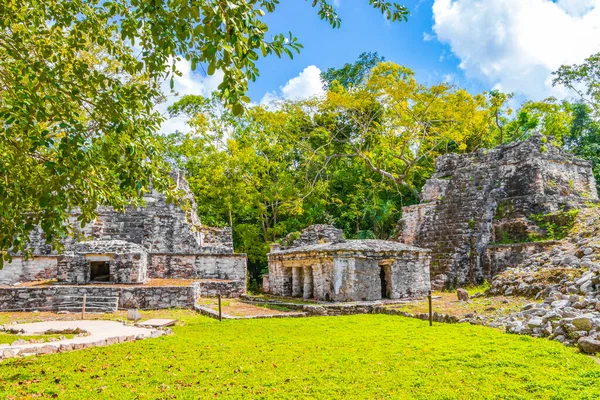 Ősi Maja Hely Templom Romok Piramisok Ereklyék Trópusi Természetes Dzsungel — Stock Fotó
