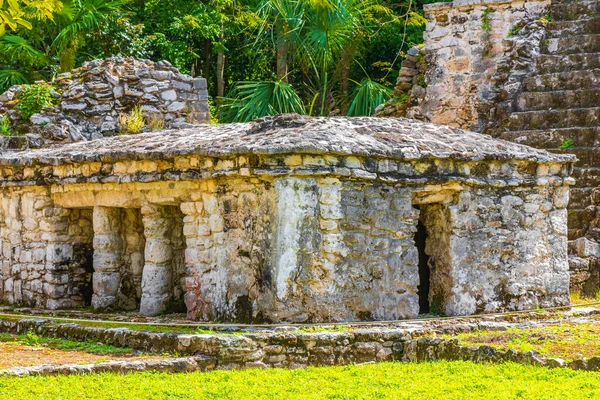 Antico Sito Maya Con Rovine Del Tempio Piramidi Manufatti Nella — Foto Stock