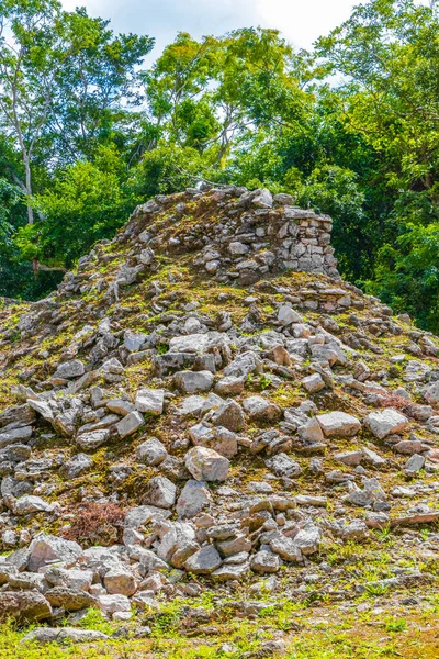 Starověké Mayské Místo Zříceninami Chrámu Pyramidy Artefakty Tropických Pralesních Palmách — Stock fotografie