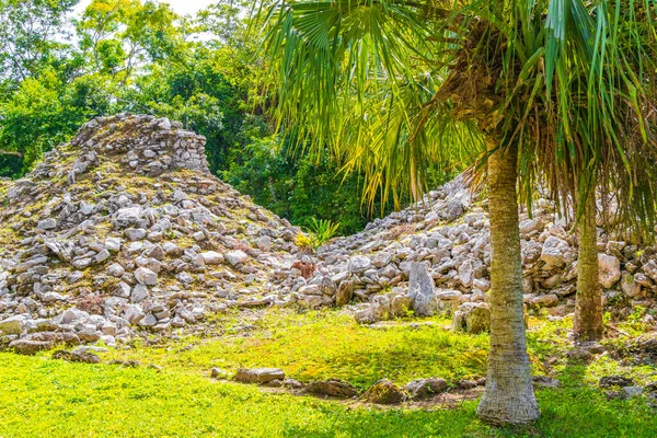 Ősi Maja Hely Templom Romok Piramisok Ereklyék Trópusi Természetes Dzsungel — Stock Fotó