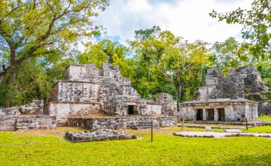 Tapınağı olan antik Maya bölgesi tropik doğal orman palmiyeleri ve Muyil Chunyaxche Quintana Roo Mexico 'daki yürüyüş yolları üzerindeki piramitleri ve eserleri harap eder..