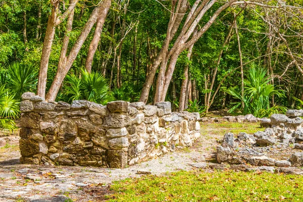 Sítio Antigo Maia Com Ruínas Templos Pirâmides Artefatos Nas Florestas — Fotografia de Stock