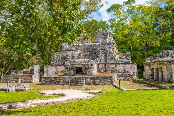 Tapınağı olan antik Maya bölgesi tropik doğal orman palmiyeleri ve Muyil Chunyaxche Quintana Roo Mexico 'daki yürüyüş yolları üzerindeki piramitleri ve eserleri harap eder..