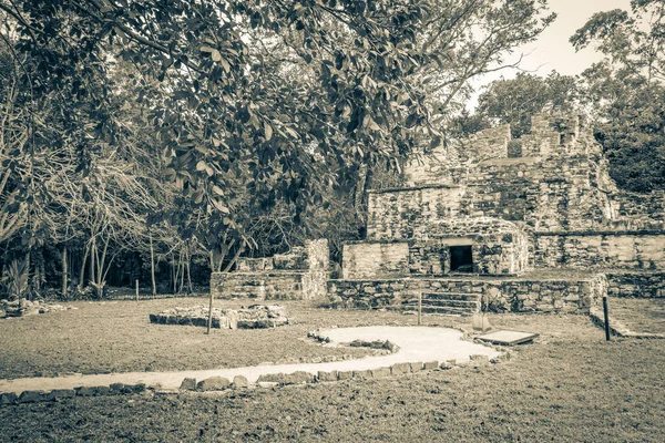 Gammal Svart Och Vit Bild Den Antika Maya Plats Med — Stockfoto