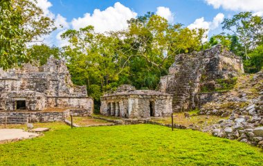 Tapınağı olan antik Maya bölgesi tropik doğal orman palmiyeleri ve Muyil Chunyaxche Quintana Roo Mexico 'daki yürüyüş yolları üzerindeki piramitleri ve eserleri harap eder..