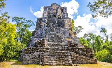 Tapınağı olan antik Maya bölgesi tropik doğal orman palmiyeleri ve Muyil Chunyaxche Quintana Roo Mexico 'daki yürüyüş yolları üzerindeki piramitleri ve eserleri harap eder..