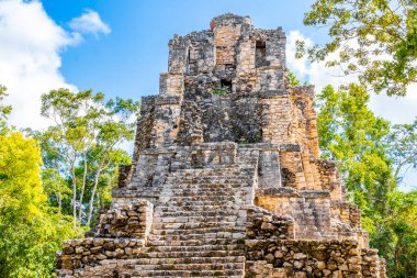 Tapınağı olan antik Maya bölgesi tropik doğal orman palmiyeleri ve Muyil Chunyaxche Quintana Roo Mexico 'daki yürüyüş yolları üzerindeki piramitleri ve eserleri harap eder..