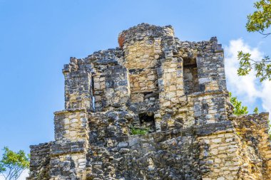 Tapınağı olan antik Maya bölgesi tropik doğal orman palmiyeleri ve Muyil Chunyaxche Quintana Roo Mexico 'daki yürüyüş yolları üzerindeki piramitleri ve eserleri harap eder..