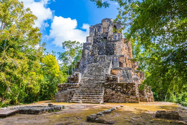 Tapınağı Olan Antik Maya Bölgesi Tropik Doğal Orman Palmiyeleri Muyil — Stok fotoğraf
