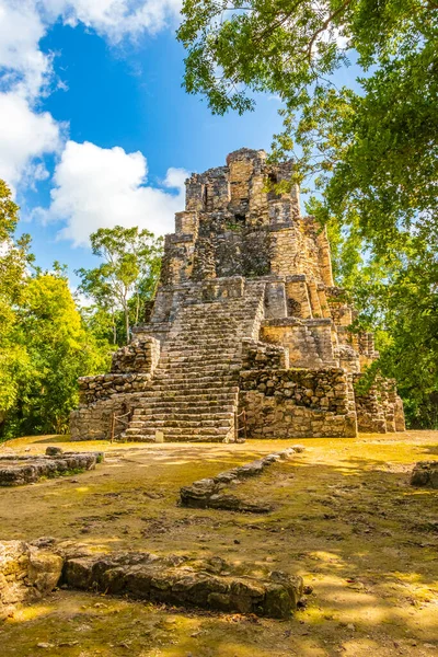 Starověké Mayské Místo Zříceninami Chrámu Pyramidy Artefakty Tropických Pralesních Palmách — Stock fotografie