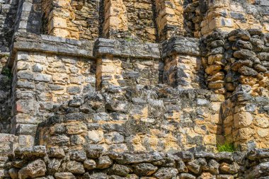 Tapınağı olan antik Maya bölgesi tropik doğal orman palmiyeleri ve Muyil Chunyaxche Quintana Roo Mexico 'daki yürüyüş yolları üzerindeki piramitleri ve eserleri harap eder..