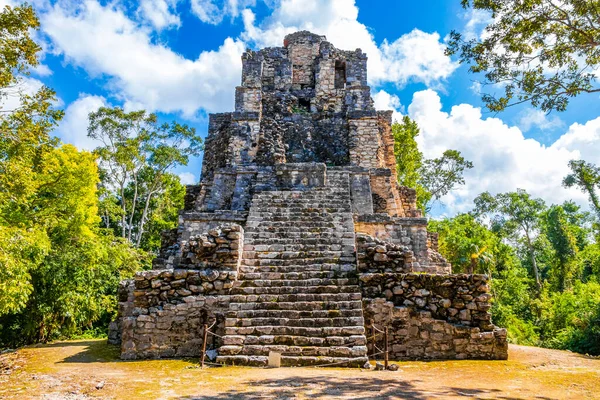 Tapınağı Olan Antik Maya Bölgesi Tropik Doğal Orman Palmiyeleri Muyil — Stok fotoğraf