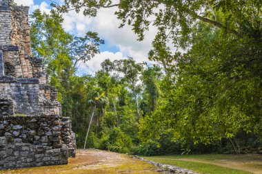 Tapınağı olan antik Maya bölgesi tropik doğal orman palmiyeleri ve Muyil Chunyaxche Quintana Roo Mexico 'daki yürüyüş yolları üzerindeki piramitleri ve eserleri harap eder..