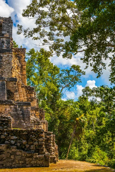 Starověké Mayské Místo Zříceninami Chrámu Pyramidy Artefakty Tropických Pralesních Palmách — Stock fotografie