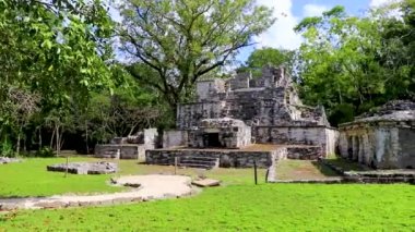 Tapınağı olan antik Maya bölgesi tropik doğal orman palmiyeleri ve Muyil Chunyaxche Quintana Roo Mexico 'daki yürüyüş yolları üzerindeki piramitleri ve eserleri harap eder.