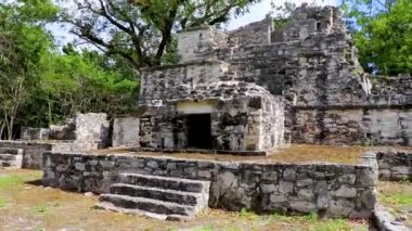 Tapınağı olan antik Maya bölgesi tropik doğal orman palmiyeleri ve Muyil Chunyaxche Quintana Roo Mexico 'daki yürüyüş yolları üzerindeki piramitleri ve eserleri harap eder.