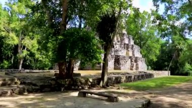 Tapınağı olan antik Maya bölgesi tropik doğal orman palmiyeleri ve Muyil Chunyaxche Quintana Roo Mexico 'daki yürüyüş yolları üzerindeki piramitleri ve eserleri harap eder.