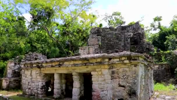 Antike Maya Stätte Mit Tempelruinen Pyramiden Und Artefakten Tropischen Urwald — Stockvideo