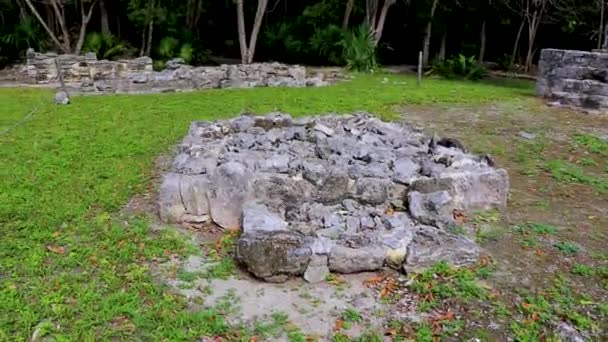 Starověké Mayské Místo Zříceninami Chrámu Pyramidy Artefakty Tropických Pralesních Palmách — Stock video