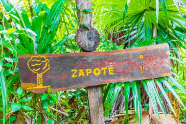 Muyil Meksika 02. Şubat 2022 Bilgi giriş patikaları ve Sian Ka 'an Ulusal Parkı' na hoş geldiniz Muyil Chunyaxche Quintana Roo Mexico.