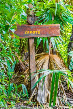 Muyil Meksika 02. Şubat 2022 Bilgi giriş patikaları ve Sian Ka 'an Ulusal Parkı' na hoş geldiniz Muyil Chunyaxche Quintana Roo Mexico.