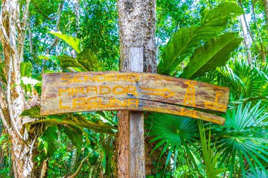 Muyil Meksika 02. Şubat 2022 Bilgi giriş patikaları ve Sian Ka 'an Ulusal Parkı' na hoş geldiniz Muyil Chunyaxche Quintana Roo Mexico.