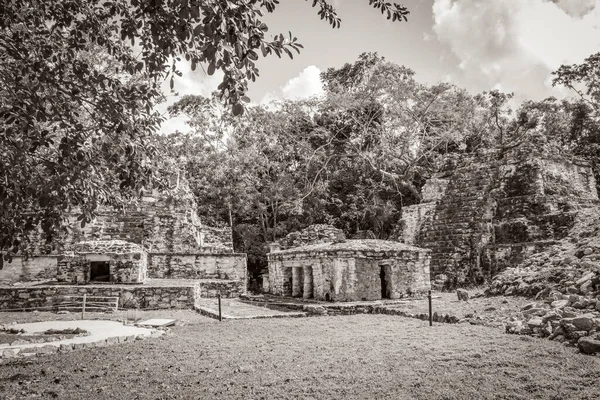 Стара Чорно Біла Картина Стародавнього Майя Руїнами Храмів Артефактами Вологих — стокове фото