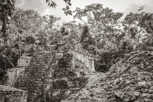 Old Black White Picture Ancient Mayan Site Temple Ruins Pyramids — Stock Photo, Image