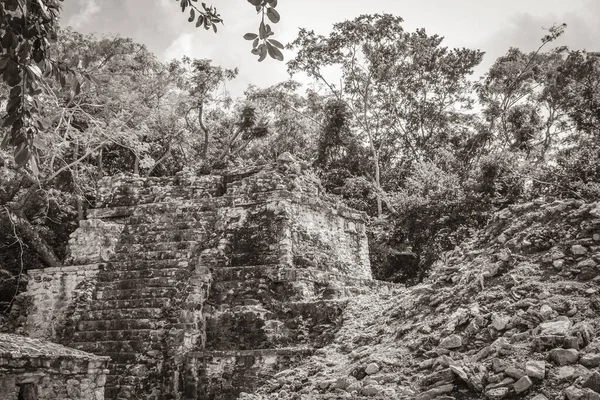 Eski Maya Bölgesinin Eski Siyah Beyaz Resmi Tapınak Kalıntıları Tropik — Stok fotoğraf