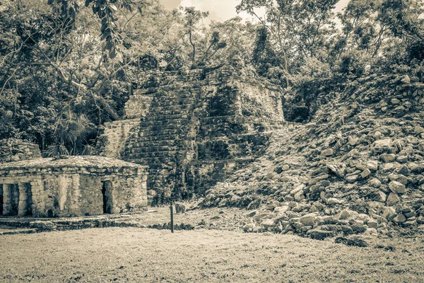 Antigua Imagen Blanco Negro Del Antiguo Sitio Maya Con Ruinas — Foto de Stock