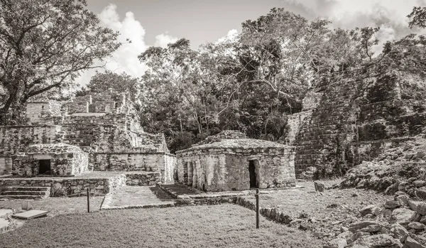 Old Black White Picture Ancient Mayan Site Temple Ruins Pyramids — Stock Photo, Image