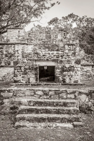 Стара Чорно Біла Картина Стародавнього Майя Руїнами Храмів Артефактами Вологих — стокове фото
