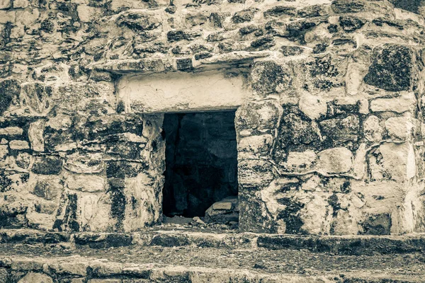 Altes Schwarz Weiß Bild Der Antiken Maya Stätte Mit Tempelruinen — Stockfoto