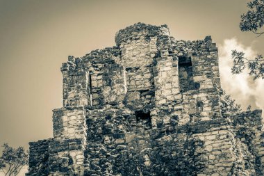 Eski Maya bölgesinin eski siyah beyaz resmi. Tapınak kalıntıları, tropik doğal orman palmiyeleri ve yürüme yolları olan Muyil Chunyaxche Quintana Roo Mexico 'daki kalıntılar..