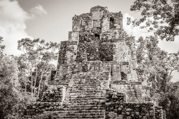 Old Black White Picture Ancient Mayan Site Temple Ruins Pyramids — Stock Photo, Image