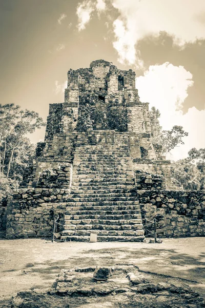 Starý Černobílý Obrázek Starověké Mayské Stránky Zříceninami Chrámu Pyramidy Artefakty — Stock fotografie