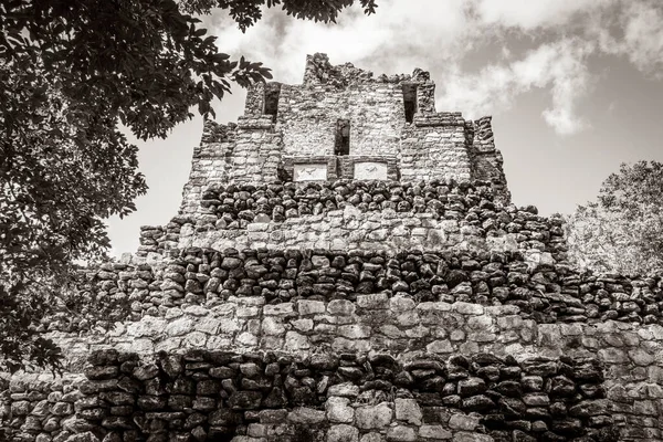 Eski Maya Bölgesinin Eski Siyah Beyaz Resmi Tapınak Kalıntıları Tropik — Stok fotoğraf