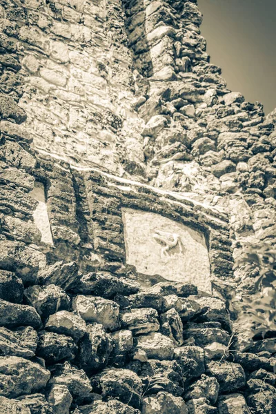 古代マヤ遺跡の古い黒と白の画像寺院遺跡ピラミッドと熱帯自然ジャングルの森のヤシの木や歩道Muyil Chunyaxche Quintana Roo Mexico — ストック写真