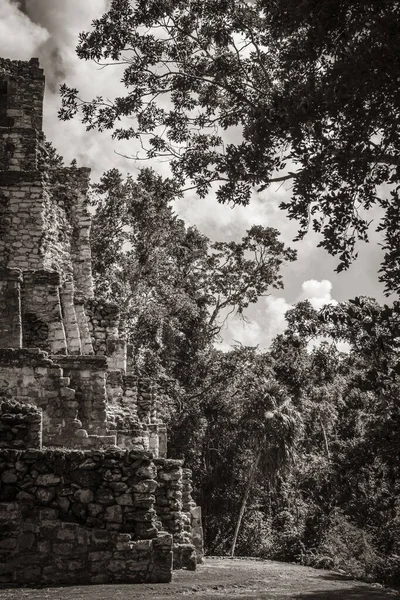 Vecchia Foto Bianco Nero Dell Antico Sito Maya Con Rovine — Foto Stock