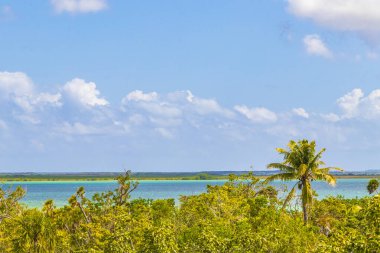 Sian Ka 'an Ulusal Parkı' nın tropikal ormanı Muyil Chunyaxche Quintana Roo Mexico 'nun tahta perspektif kulesinden Muyil Lagoon' a manzara.