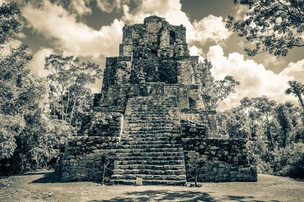 Old Black White Picture Ancient Mayan Site Temple Ruins Pyramids — Stock Photo, Image