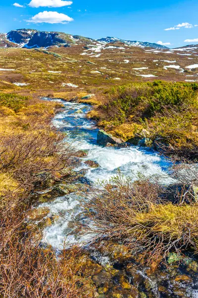 位于挪威赫赛达尔山区Vavatn景观全景的小河蒸汽 — 图库照片