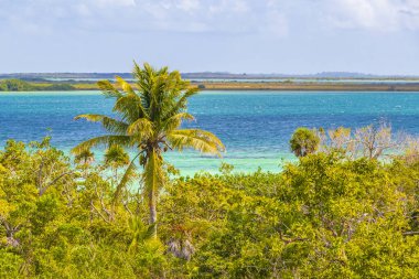 Sian Ka 'an Ulusal Parkı Muyil Chunyaxche Quintana Roo Mexico' nun palmiye ağaçları ile tropikal orman doğa ormanındaki ahşap gözetleme kulesinden Muyil Lagoon 'a manzara.