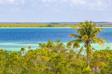 Sian Ka 'an Ulusal Parkı Muyil Chunyaxche Quintana Roo Mexico' nun palmiye ağaçları ile tropikal orman doğa ormanındaki ahşap gözetleme kulesinden Muyil Lagoon 'a manzara.