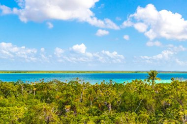 Sian Ka 'an Ulusal Parkı Muyil Chunyaxche Quintana Roo Mexico' nun palmiye ağaçları ile tropikal orman doğa ormanındaki ahşap gözetleme kulesinden Muyil Lagoon 'a manzara.