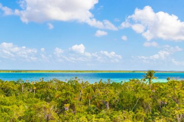 Sian Ka 'an Ulusal Parkı Muyil Chunyaxche Quintana Roo Mexico' nun palmiye ağaçları ile tropikal orman doğa ormanındaki ahşap gözetleme kulesinden Muyil Lagoon 'a manzara.