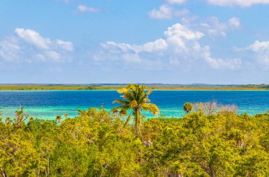 Sian Ka 'an Ulusal Parkı Muyil Chunyaxche Quintana Roo Mexico' nun palmiye ağaçları ile tropikal orman doğa ormanındaki ahşap gözetleme kulesinden Muyil Lagoon 'a manzara.
