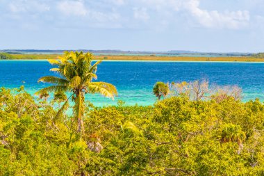 Sian Ka 'an Ulusal Parkı Muyil Chunyaxche Quintana Roo Mexico' nun palmiye ağaçları ile tropikal orman doğa ormanındaki ahşap gözetleme kulesinden Muyil Lagoon 'a manzara.