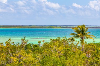 Sian Ka 'an Ulusal Parkı Muyil Chunyaxche Quintana Roo Mexico' nun palmiye ağaçları ile tropikal orman doğa ormanındaki ahşap gözetleme kulesinden Muyil Lagoon 'a manzara.
